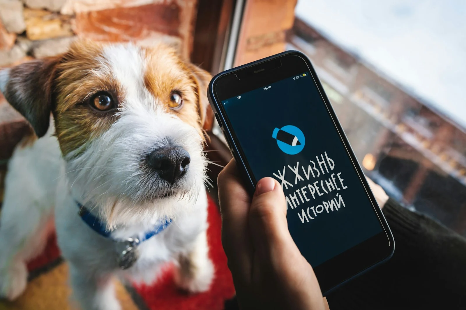 Die besten Hundeanwendungen für das iPhone (Leitfaden 2026)